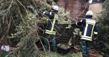 Sturm „Friederike“: Baum auf Freileitung