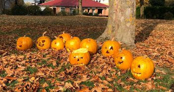 Kinderfeuerwehr schnitzt Halloween-Kürbisse 🎃 👻