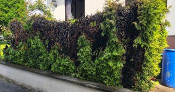 F 1: Heckenbrand, Postweg, Offheim