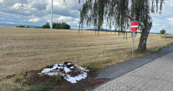 F 1: Brennt Baumstumpf
